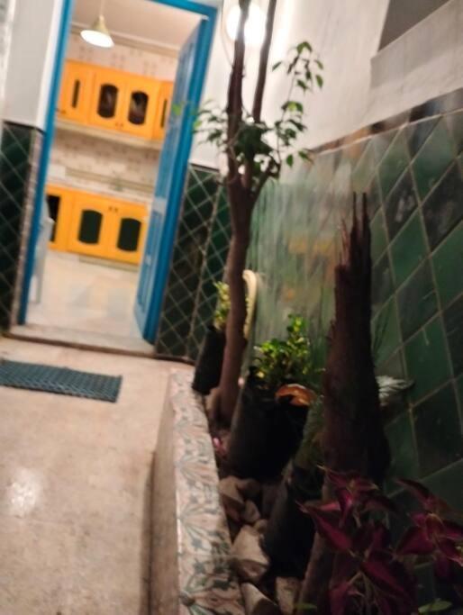Vila Coup De Coeur A Sidi Bou Ali Exteriér fotografie